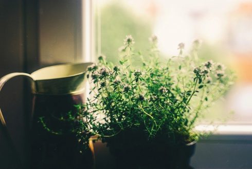 Як вибрати пластикове вікно на кухню